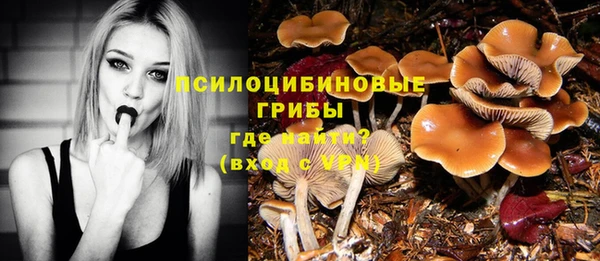 бошки Волосово